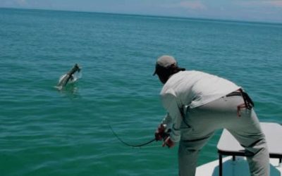 Florida Keys Fly Fishing with Captain Brian Helms