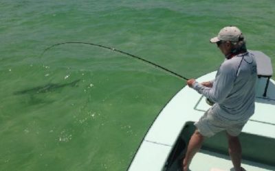 Saltwater Fly Fishing in Florida