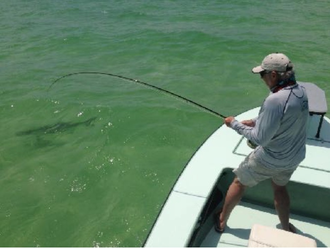 fly fishing florida keys trips - Picture of Angling Adventures